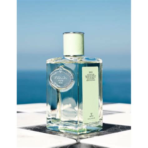 prada vetiver review|vetiver fragrance for women.